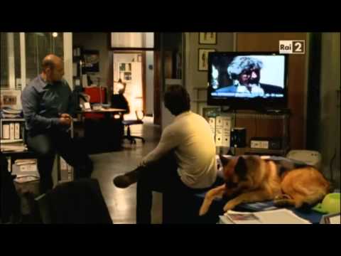 Il commissario Rex 15x02 - Superstar