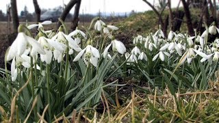 Výroční schůze zahrádkářů