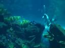 NoTanx Most Incredible 3min Static Apnea