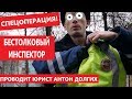 Нажмите для просмотра : Спецоперация