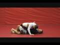 videos de Creating Space from Half Guard (2 of 2)