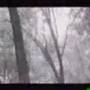 Crossfire - Fatamorgana