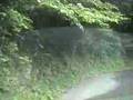 県道442号豊永赤馬長屋線(後半)