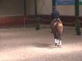 Bekijk video