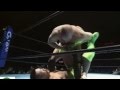 Bas Rutten on Ground Fighting