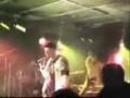 Clip NZH Selecta