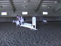 glencoe-belladonna-large-hunter-pony-for-sale.html