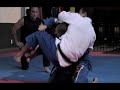 FEDOR vs ANDRE LIMA (MMA)