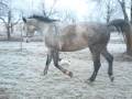 kon?_v�b?h_nuda:D