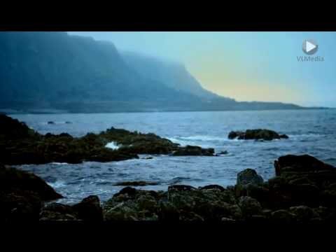Youtube-video