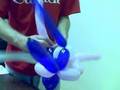 making a 3 balloon icosahedron