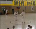 Taekwondo Top-Lehrgang Schwelm KSG April 2008 (Part1)