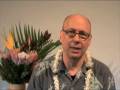 Maui's Amazing 10 day Cleanse for Spiritual Awakening & Optimum Health.