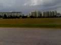 videos de crazy