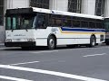 Bee-line Orion V Suburban(817) Bee-line Orion V Suburban(817)
