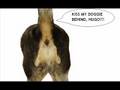 videos de OPERATION PEE ON HUGO