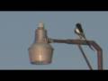 Life is Resolution /4m HD avc/