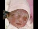 cherubs-mini.html