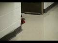 HALLWAY TEST 01