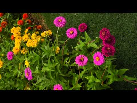 michelle harris - Evangelist-First Lady Michelle Harris Friday, April 5 2013 Message In Thought: Cast all burdens, cares upon Jesus. Be in prayer and supplication, Rejoice, fo...