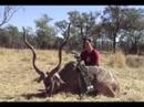 Dilbert Von Schlupp Stalks Kudu in Namibia, Africa on Safari with Bow. Amazing Big game Hunt