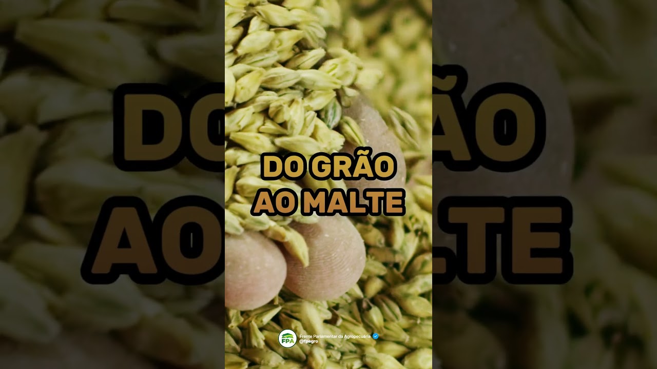 Feliz Dia Internacional da Cerveja!