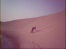 The Sandboarder's
