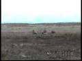 BOMB TEST ( M115 -U.S BALLISTIC MISSILE)