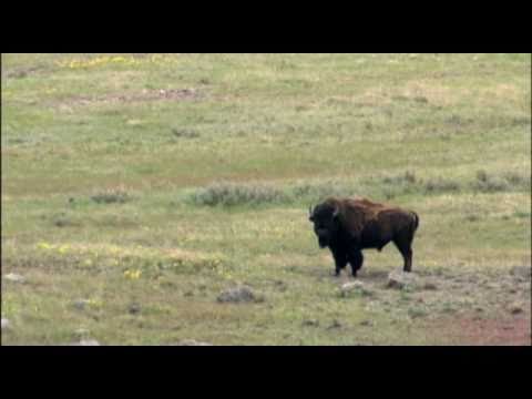 Grasslands National Park - Saskatchewan || Clip