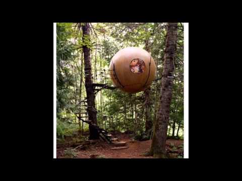 how to fasten beams to a tree