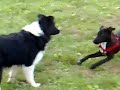 Spina Isabel e Witch
