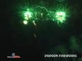 Dragon Fireworks At the Beginning Pyromusical