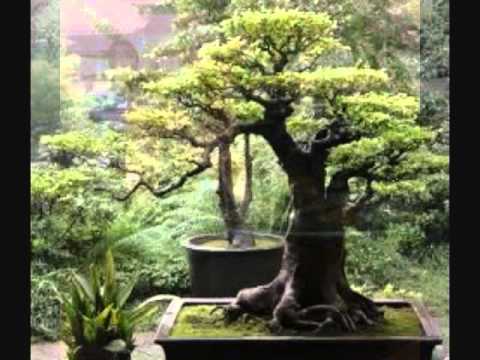 how to meditate zen books