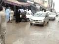 kallar syedain shair