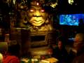 videos de Rainforest Cafe