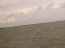 Retour Lemmer-Makkum met draagvleugelboot Connexxion