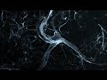 ADD - Neurônios