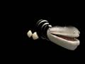 Spore Creature Creator Trial Liopleurodon