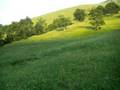 Zlatibor Pod Cigotom