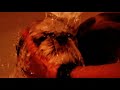 Trippy Dog Video Trippy Dog Video