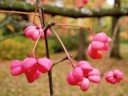 ?????, ?????????? ?????? / Autumn is leaving Moscow