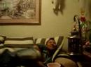 a night at nikis 6 