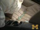 Proper seatbelt use could save more than 200 fetuses a year Manele-Gratis.net