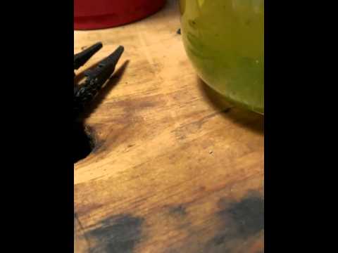 how to dissolve gold with bleach