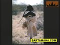 Somalia. (the history) by Abdisalam Aato