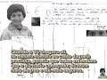 XI PAR�BOLA - A sabedoria da V� Mimi