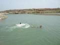 videos de rosu sare in cap