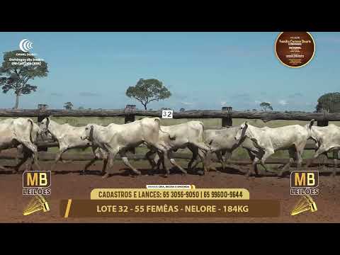 11� LEIL�O FAM�LIA LUCIANO DUARTE E CONVIDADOS
