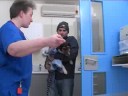 Watch the PDSA Working Together Video