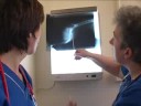 Watch the PDSA Working Together Video